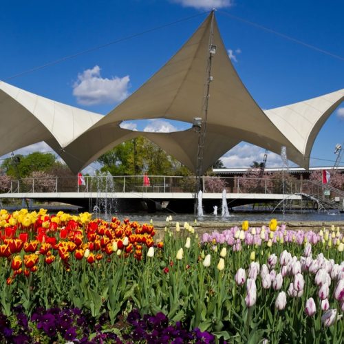Cologneo Campus Köln