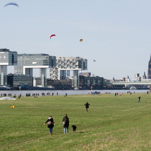 Cologneo Campus Köln